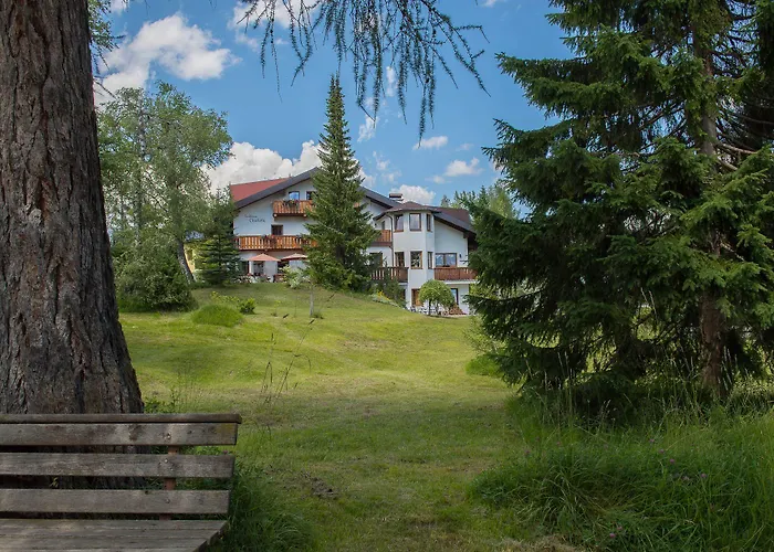 Charlotte Am Geigenbuehel -apartments 3* 蒂罗尔-泽费尔德