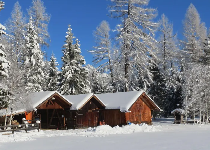 Charlotte Am Geigenbuehel -apartments 公寓式酒店 蒂罗尔-泽费尔德