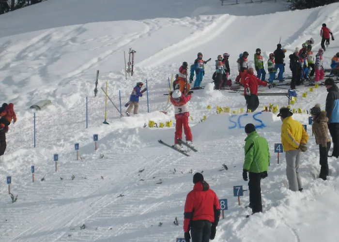 公寓式酒店 Charlotte Am Geigenbuehel -apartments 3*