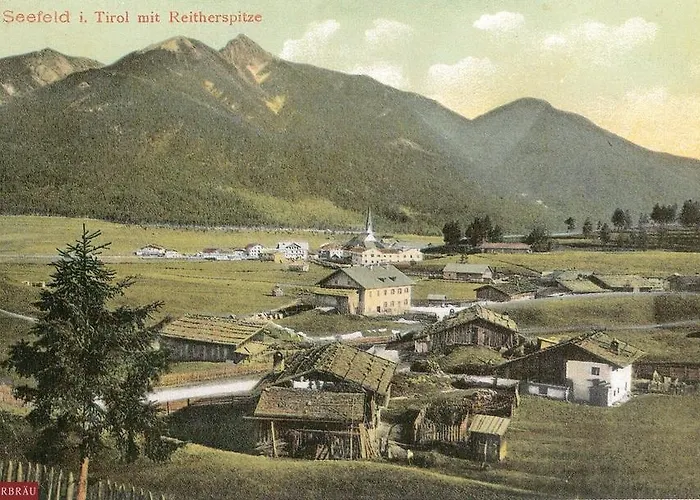 Charlotte Am Geigenbuehel -apartments 公寓式酒店 蒂罗尔-泽费尔德