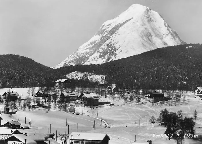 Charlotte Am Geigenbuehel -apartments 3* 蒂罗尔-泽费尔德