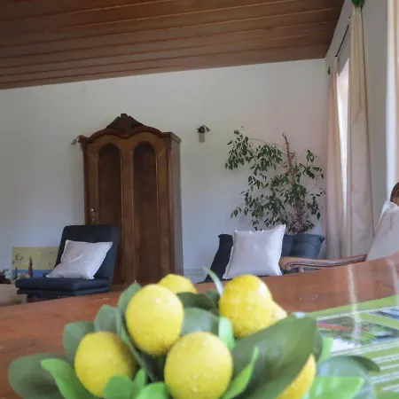 Charlotte Am Geigenbuehel -apartments זיפלד אין טירול
